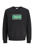 Jack & Jones - Jjbuster Sweat Crew Neck Bts Jnr - Dressipluusid - 140