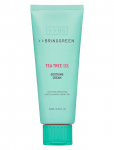 BRINGGREEN - Bringgreen Tea Tree Cica Soothing Cream Plus 100Ml - P&auml;evakreemid - 100 ML