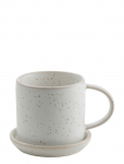 ERNST - Cup W Saucer - Teetassid - 17 CL