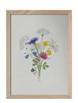 Kunskapstavlan&reg; - Sju Sorters Blommor - Botaanika - A4