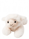 Teddykompaniet - Dreamies- Lamb, Small - Pehmed loomad - 22 cm