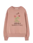 THE ANIMALS OBSERVATORY - Flowers Dusty Coral Bear Sweatshirt - Dressipluusid - 6 Y