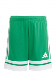 Adidas Performance - Squa25 Sho Y - 152