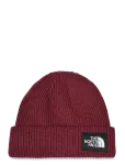 The North Face - Salty Lined Beanie - Spordi kootud m&uuml;tsid - ONE SIZE