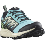 SALOMON jalatsid Wander GTX W blue/green/black - 250