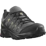 SALOMON jalan&otilde;ud X Braze GTX black/grey - EU 47 1/3 (UK 12)