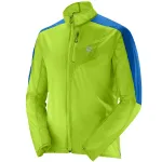 SALOMON tuulejope Fast Wing green/blue - S