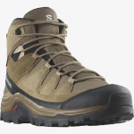 SALOMON jalatsid Quest Rove GTX brown/black - 260