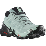 SALOMON jalan&otilde;ud Speedcross 6 GTX W heleroheline/must - 240