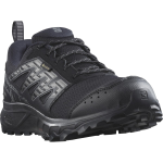 SALOMON jalatsid Wander GTX black/grey - 280