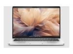 Dell Pro 14