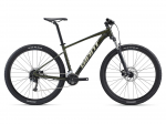 M&auml;gi jalgratas Giant Talon 2 29" Phantom Green