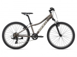 M&auml;gi jalgratas Giant XTC Jr 24" Metal