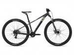 M&auml;gi jalgratas Liv Tempt 4 27.5" Black Chrome