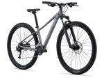 M&auml;gi jalgratas Liv Tempt 2 29" Liquid Metal