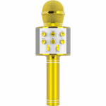 Bluetooth karaokemikrofon lastele, kuldne juhtmevaba karaoke mikrofon, laste karaoke laulumikrofon