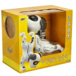 RC robotkoer h&uuml;ppab jalutusk&auml;ike