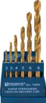 Metallipuuride komplekt HSS TiN, 6 tk. (TDBS6, THORVIK)
