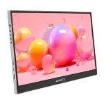 ANMITE A156W04T 15.6" kaasaskantav universaalne monitor