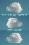 No Storm, Just Weather