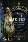 Celtic Tribes