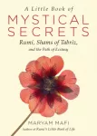 Little Book of Mystical Secrets
