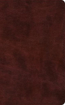 ESV Large Print Thinline Bible