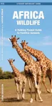 African Wildlife