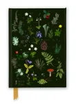 Anna Stead: The Forest Floor (Foiled Journal)