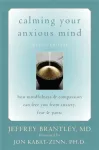 Calming Your Anxious Mind