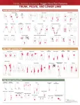 Travell, Simons & Simons&rsquo; Trigger Point Pain Patterns Wall Chart
