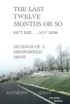 last twelve months or so (Oct 2023 . . . Nov 2024)