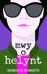 Mwy o Helynt