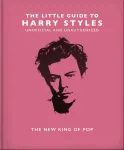 Little Guide to Harry Styles