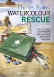 Charles Evans&rsquo; Watercolour Rescue