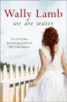 We Are Water