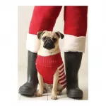 Pug Elf Notecards