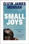 Small Joys