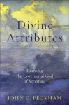 Divine Attributes &ndash; Knowing the Covenantal God of Scripture