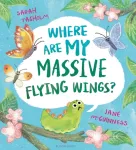 Where Are My Massive Flying Wings?