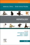 Hepatology, An Issue of Veterinary Clinics of North America: Small Animal Practice