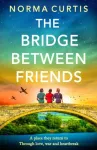 The Bridge Between Friends