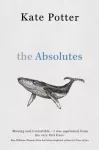 Absolutes, a profound exploration of grief told through fragments of memory