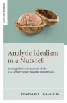 Analytic Idealism in a Nutshell, A straightforward summary of the 21st century's only plausible metaphysics