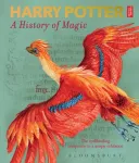 Harry Potter &ndash; A History of Magic