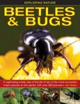 Exploring Nature: Beetles & Bugs