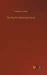 Rocky Mountain Goat
