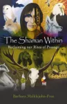 Shaman Within &ndash; Meie l&auml;bimisriituste tagasin&otilde;udmine