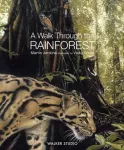Walk Through the Rainforest
