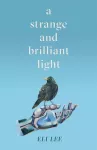 Strange and Brilliant Light: Winner of the Writers&rsquo; Guild Best First Novel Award